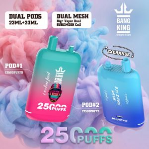 Bang King 25K Puffs Bang King 25K Puffs
