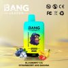 Bang Leader 45K Puffs Blueberry Ice & Strawberry and Banana