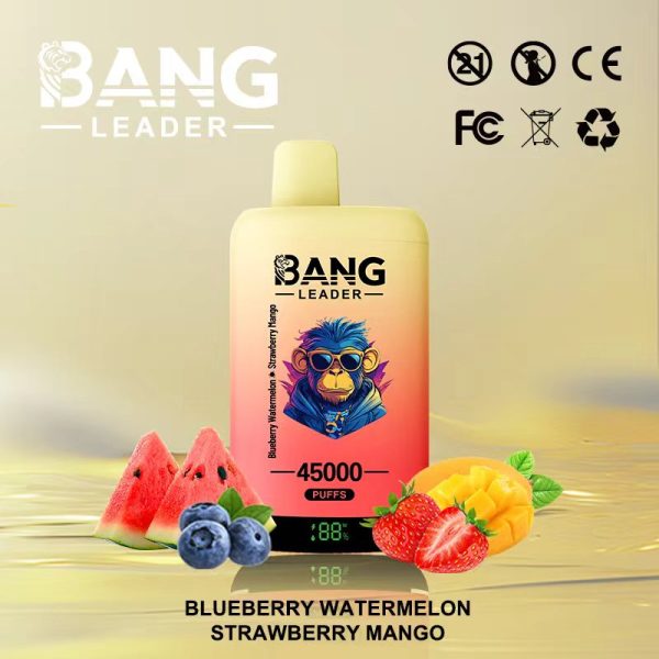 Bang Leader 45K Puffs Blueberry Watermelon & Strawberry Mango