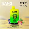 Bang Leader 45K Puffs Red Bull & Watermelon Bubble Candy