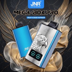 JNR Mega Box Pro 50K Puffs JNR Mega Box Pro 50000 Puffs LED Screen Wholesale Disposable Vape Kit