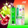 JNR Shisha Hookah Max 22K Puffs Two Apple JNR Shisha Hookah Max 22000 Puffs Triple Mesh Coil Original Disposable Vape Pen