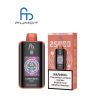 RandM Tornado 25000 Puffs Dual Mesh Touch Switch Screen Disposable Vape
