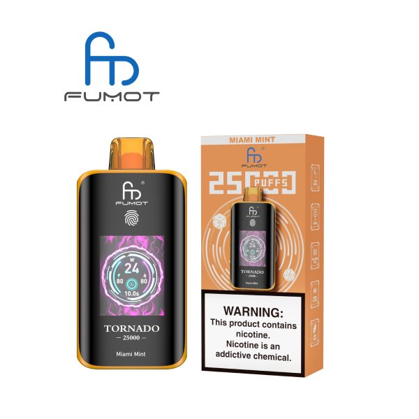 RandM Tornado 25000 Puffs Dual Mesh Touch Switch Screen Disposable Vape
