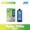 JNR Big Mac Shisha 80000 Puffs Quad Mesh Coil 80K Disposable Vape Bulk Buy