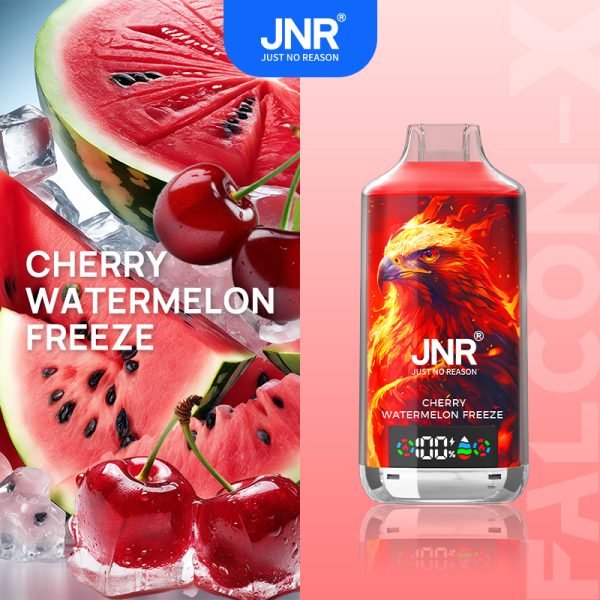 jnr 18k Cherry Watermelon Freeze JNR Falcon-X 18000 Puffs Display Screen Smart Disposable Vape Pen Bulk Buy