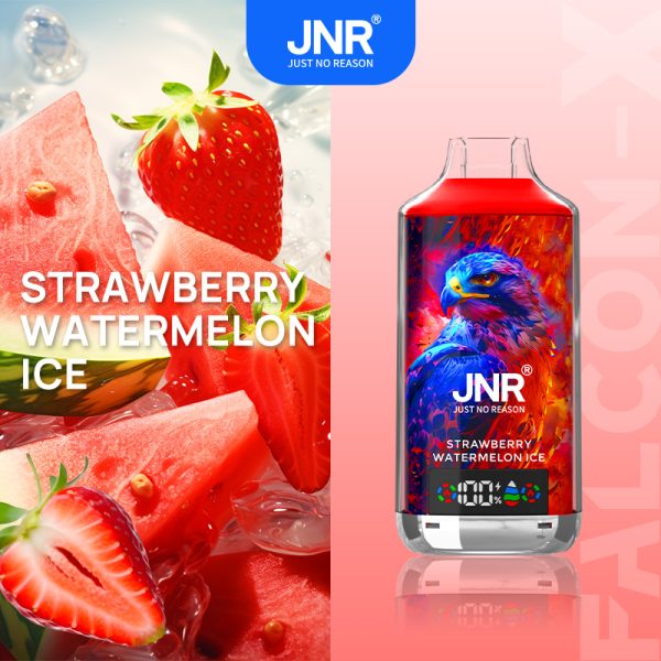 jnr 18k Strawberry Watermelon Ice JNR Falcon-X 18000 Puffs Display Screen Smart Disposable Vape Pen Bulk Buy
