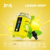 ATVS 120000 Puffs Hookah Head Lemon Mint