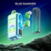 Airmez Xbeat 40000 Puffs BLUE RANCHER