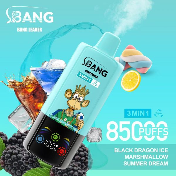 Bang Leader 85K Puffs 04 Bang Leader 85K Puffs 04