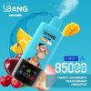 Bang Leader 85K Puffs 05 Bang Leader 85K Puffs 05