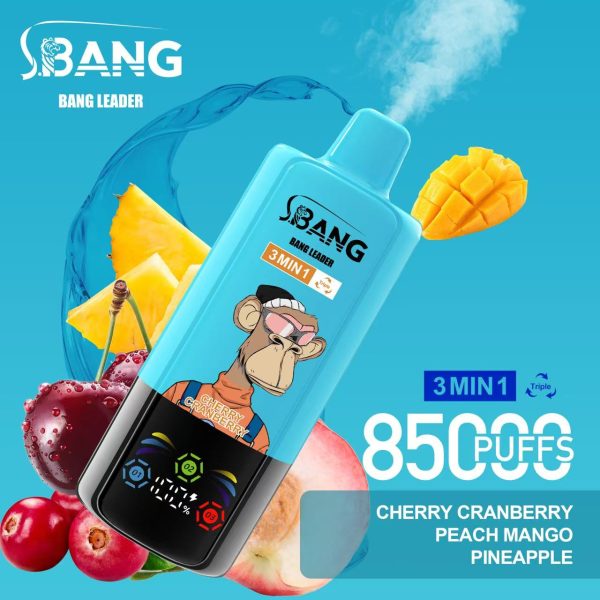 Bang Leader 85K Puffs 05 Bang Leader 85K Puffs 05