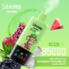 Bang Leader 85K Puffs 06 Bang Leader 85K Puffs 06