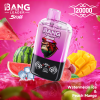 Bang Leader Stoll 120K Puffs 01 Bang Leader Stoll 120K Puffs 01