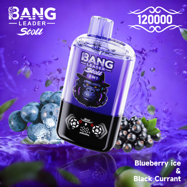 Bang Leader Stoll 120K Puffs 04 Bang Leader Stoll 120K Puffs 04