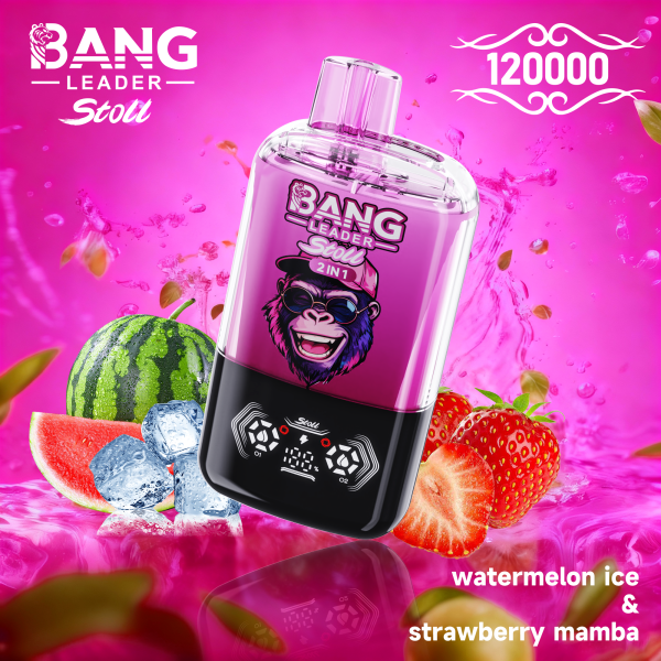 Bang Leader Stoll 120K Puffs 06 Bang Leader Stoll 120K Puffs 06