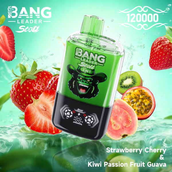 Bang Leader Stoll 120K Puffs 07 Bang Leader Stoll 120K Puffs 07