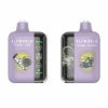 ELFWORLD PLUS+ 20000 Puffs 02
