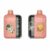 ELFWORLD PLUS+ 20000 Puffs 04