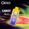 OKSO 6in1 120K Puffs 04