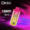 OKSO 6in1 120K Puffs 09