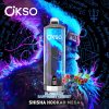 OKSO Shisha Hookah Mega 50K Puffs blueberry raspberry cherry