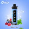 OKSO Shisha Max 40K Puffs 02 OKSO Shisha Max 40K Puffs 02