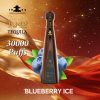 Solaris Don Leon 1942 30000 Puffs Blueberry Ice
