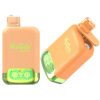 Vapsolo Twins 20000 Puffs LEMON LIME WATERMELON ICE