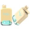 Vapsolo Twins 20000 Puffs PINEAPPLE COCONUT STRAWBERRY BANANA