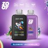 Zooy Flyer 35000 Puffs Blueberry Watermelon