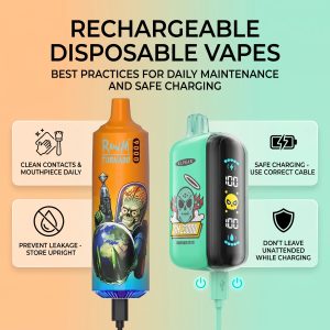 Rechargeable Disposable Vapes Best Practices for Daily Maintenance and Safe Charging