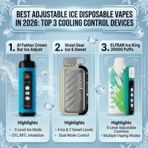 Best Adjustable Ice Disposable Vapes