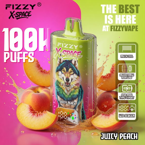 Fizzy X Space 100K Puffs Flavor 10 Fizzy X Space 100K Puffs Flavor 10