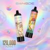 Bang DE 120000 Puffs Bang DE 120000 Puffs