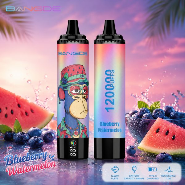 Bang DE 120K Puffs Blueberry Watermelon Bang DE 120K Puffs Blueberry Watermelon