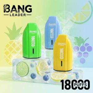Bang Leader 18000 Puffs Bang Leader 18000 Puffs