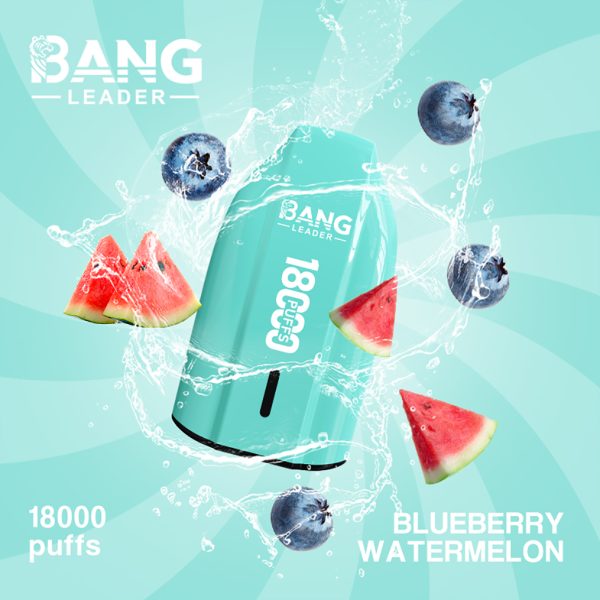 Bang Leader 18K Puffs Blueberry Watermelon