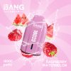 Bang Leader 18K Puffs Raspberry Watermelon