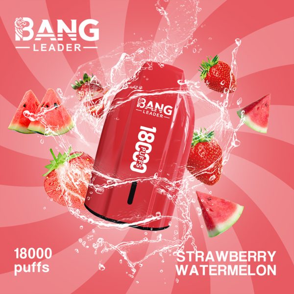 Bang Leader 18K Puffs Strawberry Watermelon