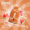 Bang Leader 18K Puffs Watermelon Ice