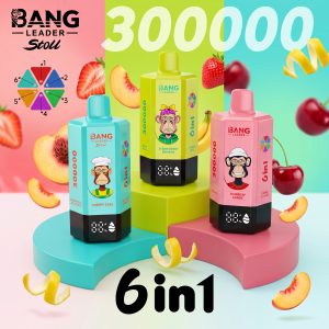 Bang Leader Stoll 300K Puffs