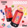 Bang Leader Stoll 300K Puffs 6 IN 1 Flavor 01