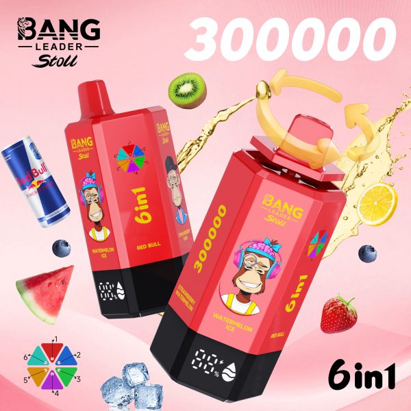 Bang Leader Stoll 300K Puffs 6 IN 1 Flavor 01
