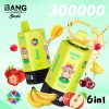 Bang Leader Stoll 300K Puffs 6 IN 1 Flavor 02