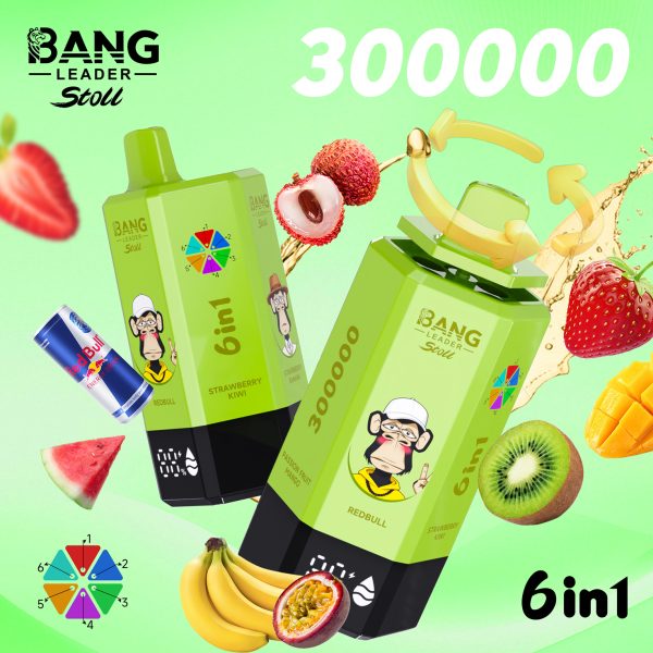 Bang Leader Stoll 300K Puffs 6 IN 1 Flavor 03