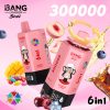 Bang Leader Stoll 300K Puffs 6 IN 1 Flavor 04