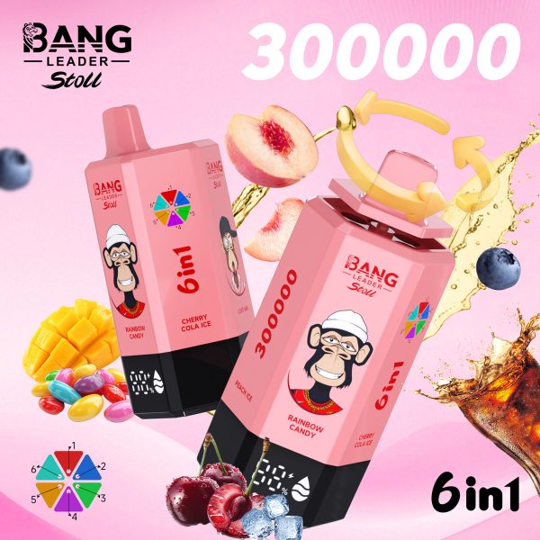 Bang Leader Stoll 300K Puffs 6 IN 1 Flavor 04
