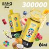 Bang Leader Stoll 300K Puffs 6 IN 1 Flavor 05