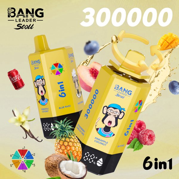 Bang Leader Stoll 300K Puffs 6 IN 1 Flavor 05